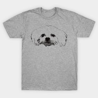 Maltese gift for Maltese Terrier Owners T-Shirt